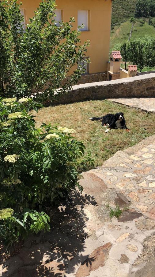 Casa Sierra De Gredos Pensionat Navasequilla Exteriör bild
