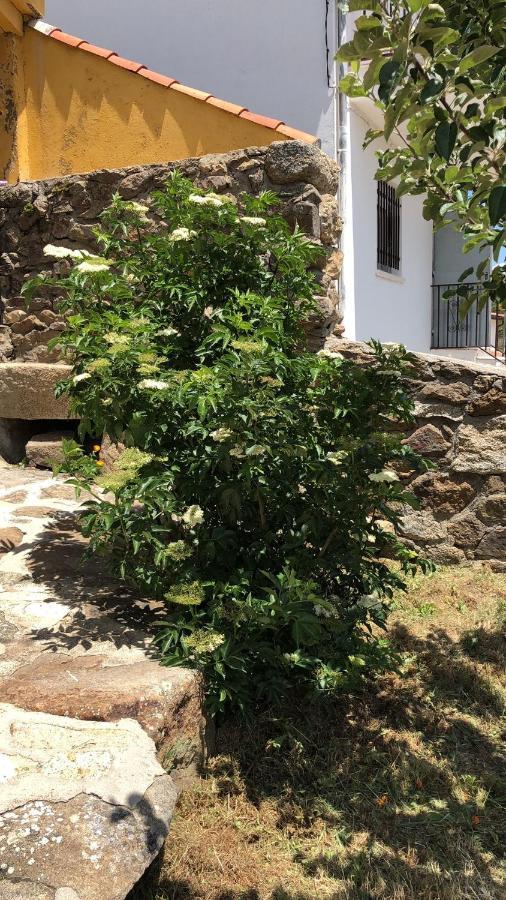 Casa Sierra De Gredos Pensionat Navasequilla Exteriör bild