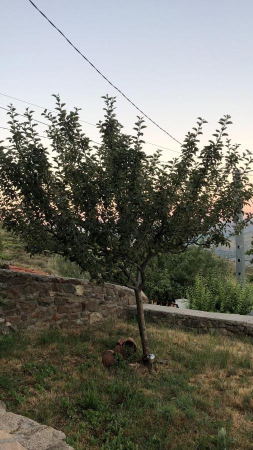 Casa Sierra De Gredos Pensionat Navasequilla Exteriör bild
